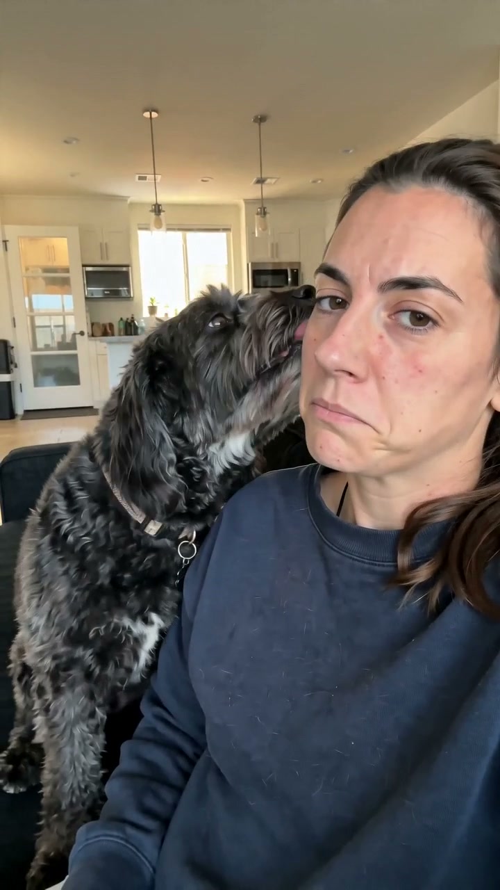 Pet product TikTok 03